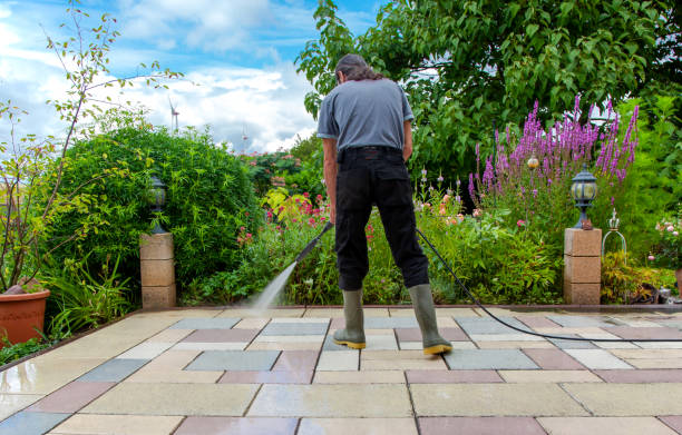 Best Fence Cleaning  in Robstown, TX