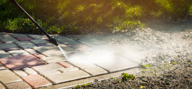 Best Dumpster Area Cleaning  in Robstown, TX